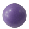 Procare Stability Ball