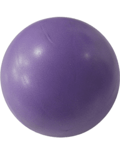 Procare Stability Ball